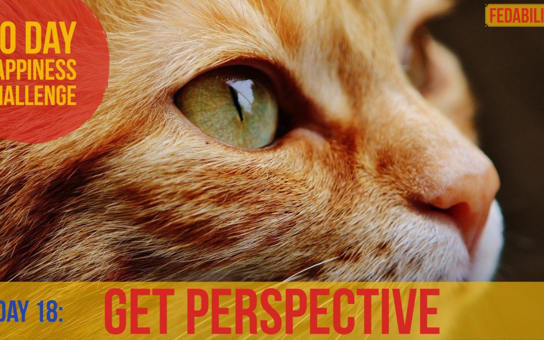 Perspective: Day 18 of the Happiness Challenge