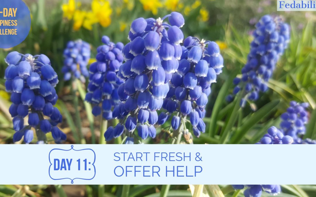 Start fresh and offer help: Day 11 of the Happiness Challenge