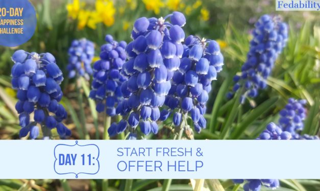 Start fresh and offer help: Day 11 of the Happiness Challenge