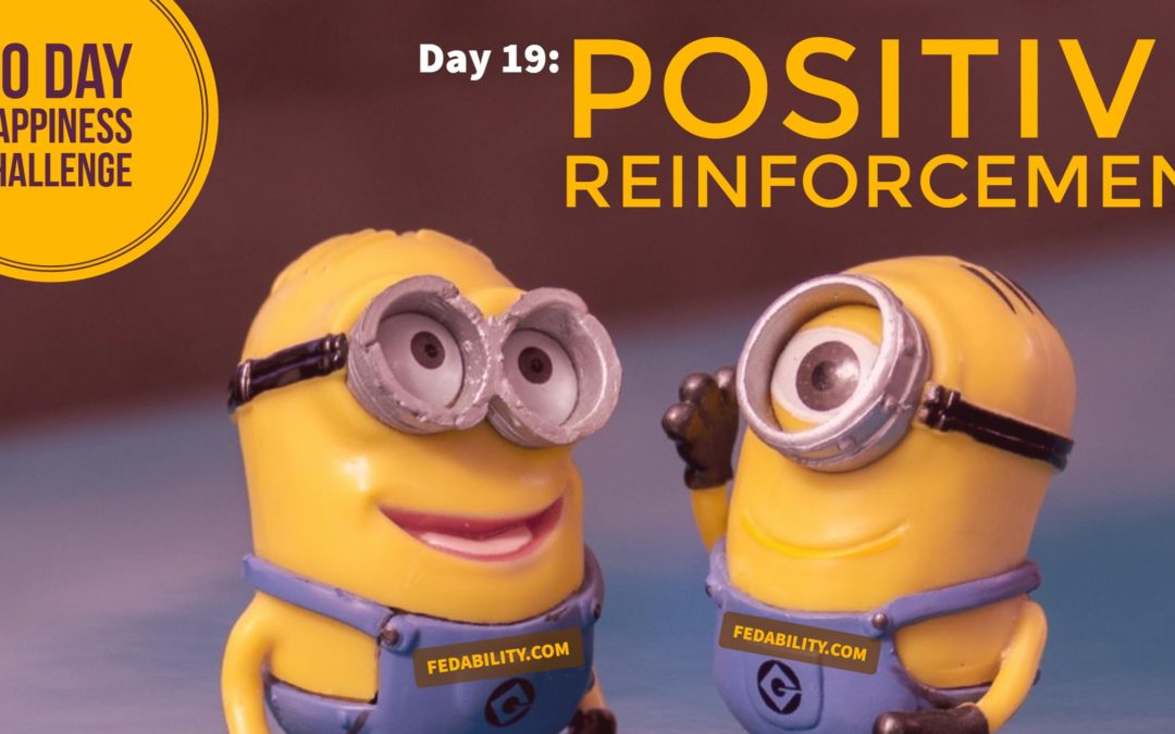 Positive reinforcement: Day 19 of the Happiness Challenge
