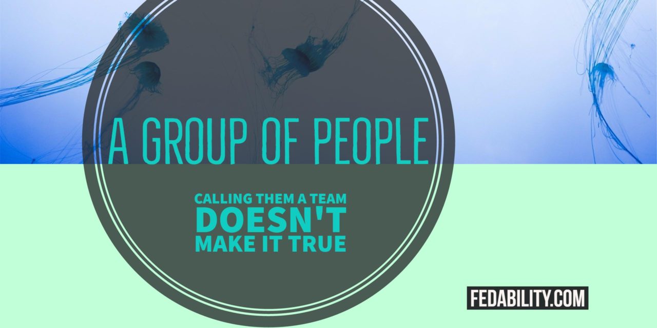A group of people: Calling them a team doesn’t make it true