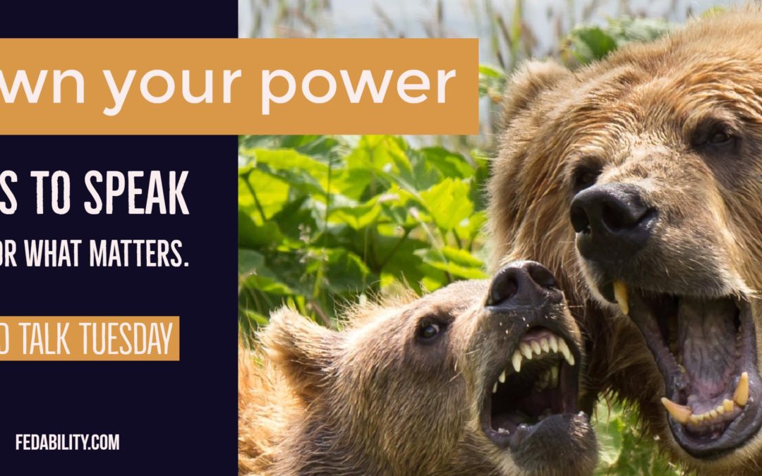 Own your power. Be a ferocious mama bear. Tips to speak up for what matters.