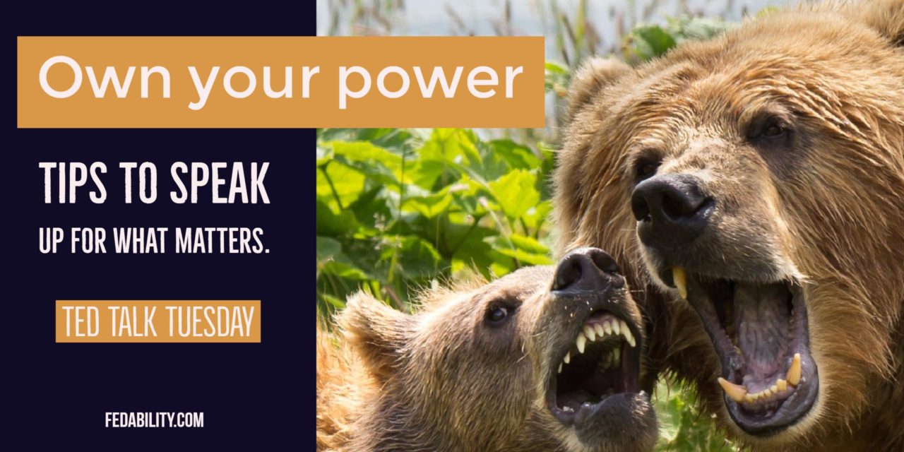 Own your power. Be a ferocious mama bear. Tips to speak up for what matters.