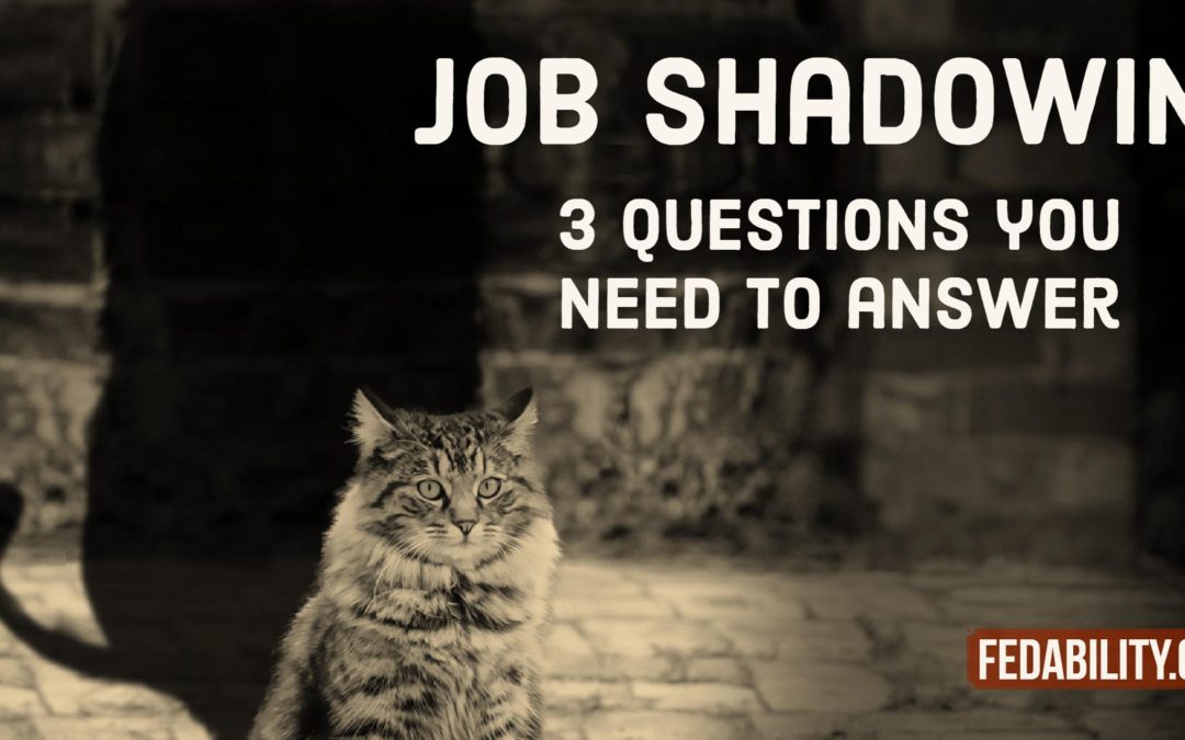 Job shadowing: The 3 questions you need to answer