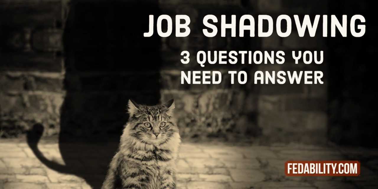 Job shadowing: The 3 questions you need to answer