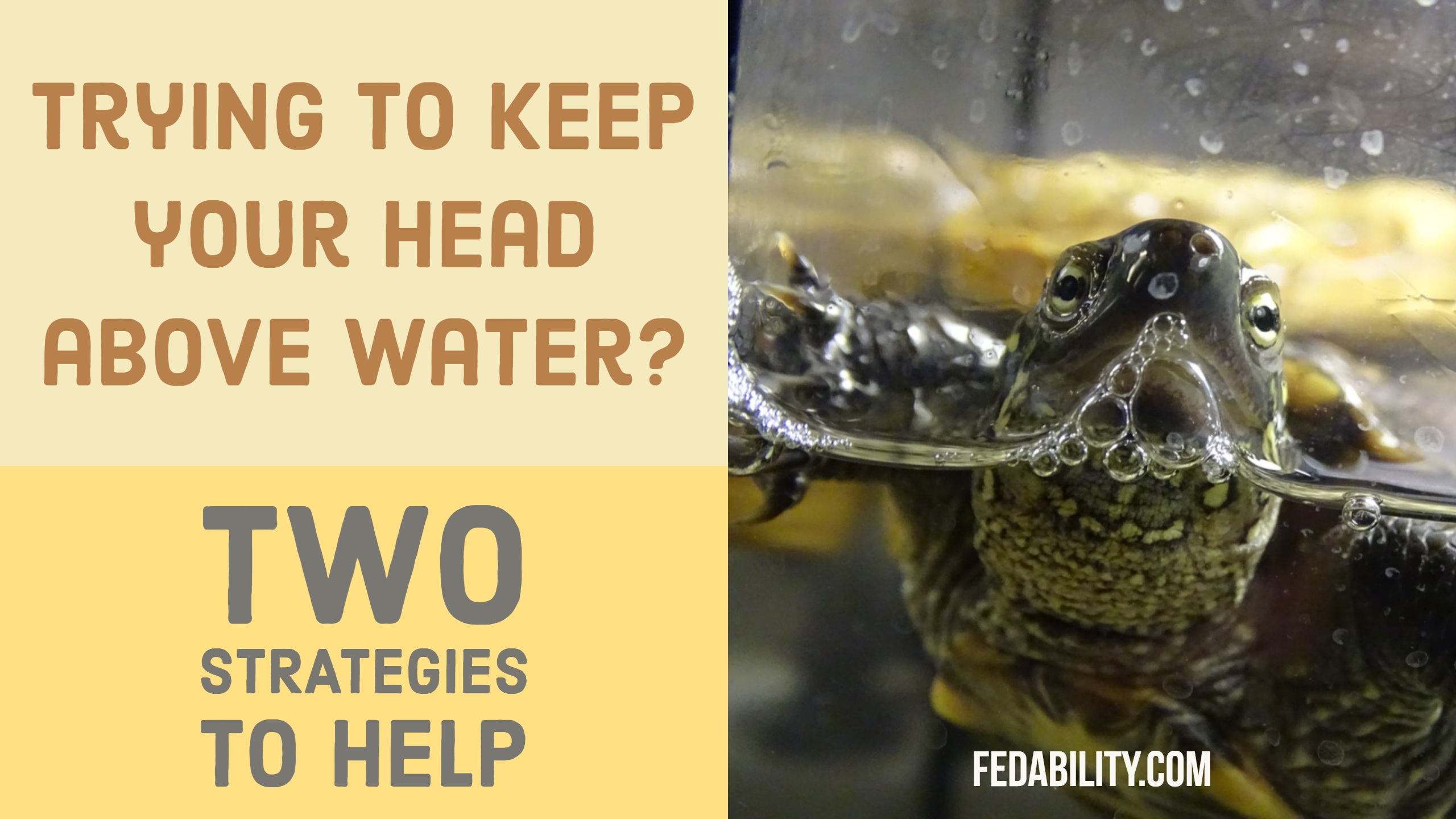 trying-to-keep-your-head-above-water-here-s-two-strategies-fedability