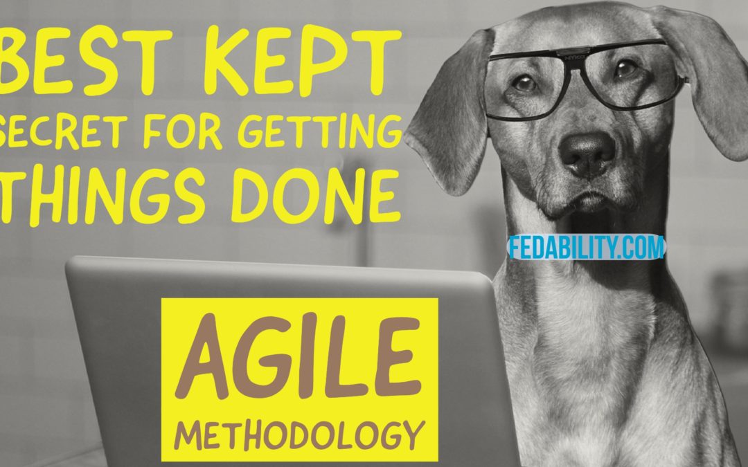Best kept secret for getting stuff done: The Agile methodology